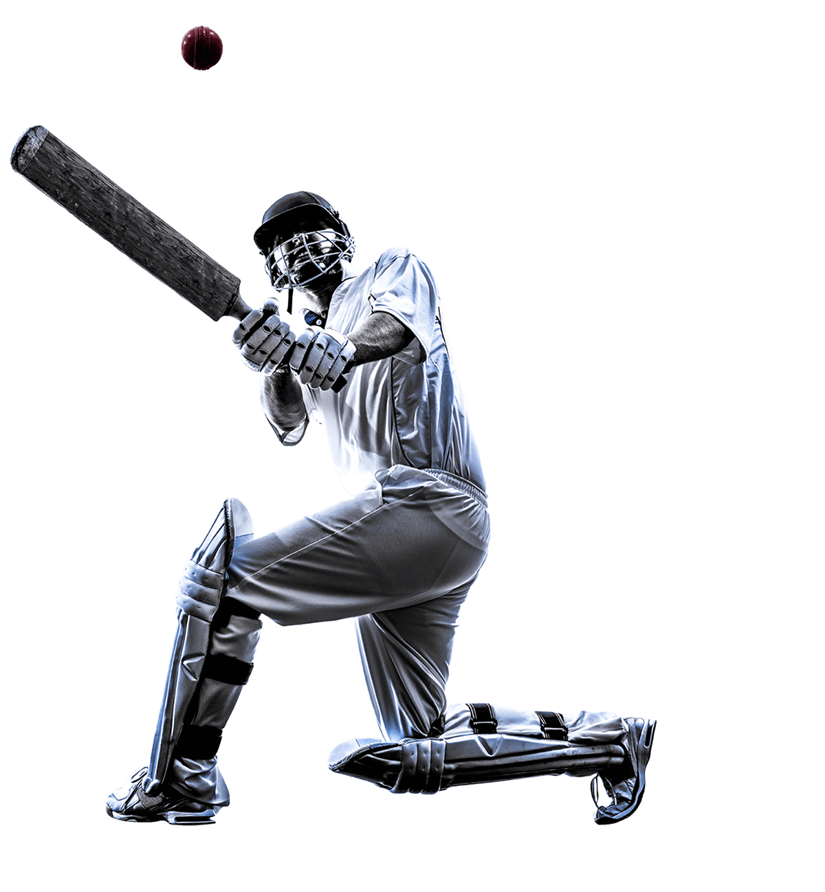 pngimg.com cricket png112 (2)